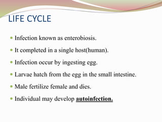 LIFE CYCLE
 Infection known as enterobiosis.
 It completed in a single host(human).
 Infection occur by ingesting egg.
 Larvae hatch from the egg in the small intestine.
 Male fertilize female and dies.
 Individual may develop autoinfection.
 