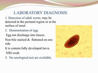 LABORATORY DIAGNOSIS
1. Detection of adult worm: may be
detected in the perianal region or at the
surface of stool.
2. Demonstration of egg:
Egg not discharge into faeces.
Non bile stained & flattened on one
side
It is contain fully developed larva.
NIH swab
3. No serological test are available.
 