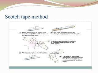 Scotch tape method
 