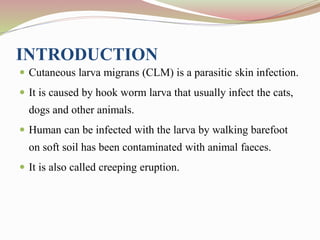 INTRODUCTION
 Cutaneous larva migrans (CLM) is a parasitic skin infection.
 It is caused by hook worm larva that usually infect the cats,
dogs and other animals.
 Human can be infected with the larva by walking barefoot
on soft soil has been contaminated with animal faeces.
 It is also called creeping eruption.
 