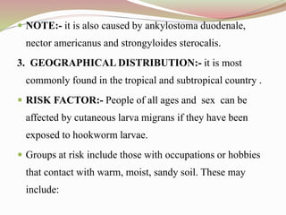  NOTE:- it is also caused by ankylostoma duodenale,
nector americanus and strongyloides sterocalis.
3. GEOGRAPHICAL DISTRIBUTION:- it is most
commonly found in the tropical and subtropical country .
 RISK FACTOR:- People of all ages and sex can be
affected by cutaneous larva migrans if they have been
exposed to hookworm larvae.
 Groups at risk include those with occupations or hobbies
that contact with warm, moist, sandy soil. These may
include:
 