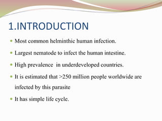 1.INTRODUCTION
 Most common helminthic human infection.
 Largest nematode to infect the human intestine.
 High prevalence in underdeveloped countries.
 It is estimated that ˃250 million people worldwide are
infected by this parasite
 It has simple life cycle.
 