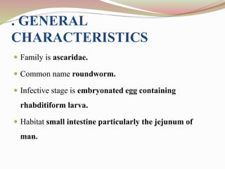 . GENERAL
CHARACTERISTICS
 Family is ascaridae.
 Common name roundworm.
 Infective stage is embryonated egg containing
rhabditiform larva.
 Habitat small intestine particularly the jejunum of
man.
 