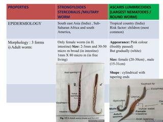 PROPERTIES STRONGYLOIDES
STERCORALIS /MILITARY
WORM
ASCARIS LUMBRICOIDES
(LARGEST NEMATODES /
ROUND WORM)
EPIDERMIOLOGY South east Asia (India) , Sub-
Saharan Africa and south
America,
Tropical country (India)
Risk factor: children (most
common)
Morphology : 3 forms
i) Adult worm:
Only female worm (in H.
intestine) Size: 2-3mm and 30-50
micro m broad (in intestine)
1mm X 80 micro m (in free
living)
Appearance: Pink colour
(freshly passed)
But gradually (white)
Size: female (20-30cm) , male
(15-31cm)
Shape : cylindrical with
tapering ends
 