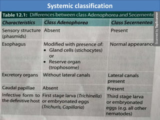 Systemic classification
 