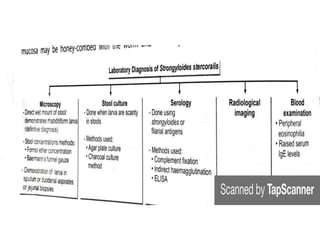 Intestinal nematodes