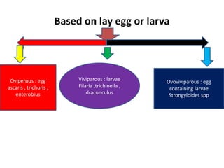 Based on lay egg or larva
Oviperous : egg
ascaris , trichuris ,
enterobius
Viviparous : larvae
Filaria ,trichinella ,
dracunculus
Ovoviviparous : egg
containing larvae
Strongyloides spp
 