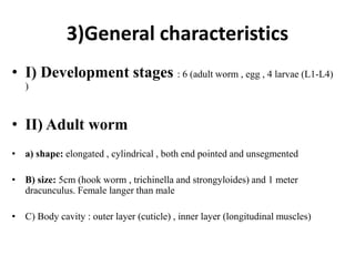3)General characteristics
• I) Development stages : 6 (adult worm , egg , 4 larvae (L1-L4)
)
• II) Adult worm
• a) shape: elongated , cylindrical , both end pointed and unsegmented
• B) size: 5cm (hook worm , trichinella and strongyloides) and 1 meter
dracunculus. Female langer than male
• C) Body cavity : outer layer (cuticle) , inner layer (longitudinal muscles)
 