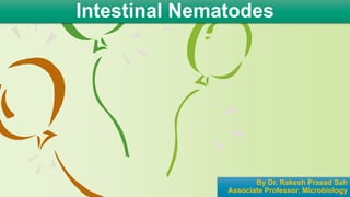 Intestinal Nematodes
By Dr. Rakesh Prasad Sah
Associate Professor, Microbiology
 