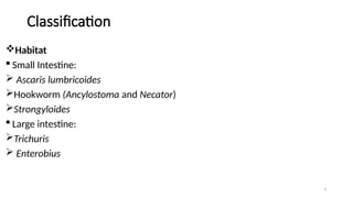 Intestinal Parasites Classification Parasite classification Intestinal Nematodes.pptx