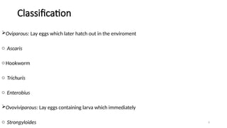 Intestinal Parasites Classification Parasite classification Intestinal Nematodes.pptx