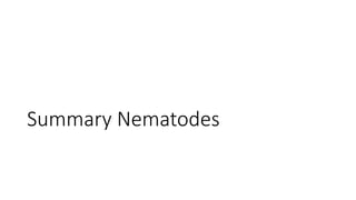 Summary Nematodes
 