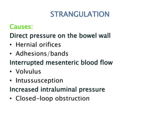 STRANGULATION
Causes:
Direct pressure on the bowel wall
• Hernial orifices
• Adhesions/bands
Interrupted mesenteric blood flow
• Volvulus
• Intussusception
Increased intraluminal pressure
• Closed-loop obstruction
 