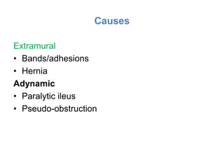 Causes
Extramural
• Bands/adhesions
• Hernia
Adynamic
• Paralytic ileus
• Pseudo-obstruction
 