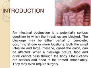intestinal obstruction. B.Sc Nursing 2 year digestive system
