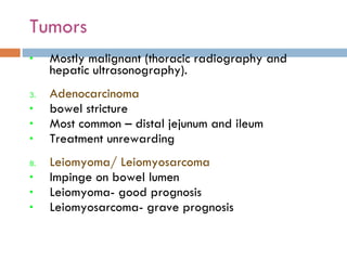 Tumors  Mostly malignant (thoracic radiography and hepatic ultrasonography). Adenocarcinoma  bowel stricture Most common – distal jejunum and ileum Treatment unrewarding Leiomyoma/ Leiomyosarcoma Impinge on bowel lumen Leiomyoma- good prognosis Leiomyosarcoma- grave prognosis 