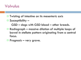 Volvulus  Twisting of intestine on its mesenteric axis Susceptibility –  GSD – dogs with GSD blood – other breeds. Radiograph – massive dilation of multiple loops of bowel in stellate pattern originating from a central focus. Prognosis – very grave. 
