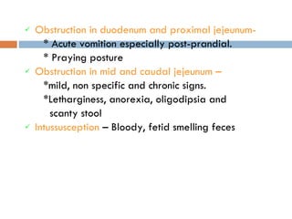 Obstruction in duodenum and proximal jejeunum-   * Acute vomition especially post-prandial. * Praying posture Obstruction in mid and caudal jejeunum –   *mild, non specific and chronic signs. *Letharginess, anorexia, oligodipsia and  scanty stool Intussusception  – Bloody, fetid smelling feces 