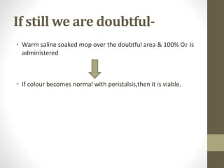 If still we are doubtful-
• Warm saline soaked mop over the doubtful area & 100% O2 is
administered
• If colour becomes normal with peristalsis,then it is viable.
 
