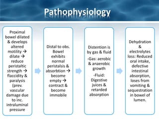 Pathophysiology
Proximal
bowel dilated
& develops
altered
motility 
dilate 
reduce
peristaltic
strength 
flaccidity &
paralysis
(prev.
vascular
damage due
to inc.
intraluminal
pressure
Distal to obs.
Bowel
exhibits
normal
peristalsis &
absorbtion 
become
empty 
contract &
become
immobile
Distention is
by gas & fluid
-Gas: aerobic
& anaerobic
growth
-Fluid:
Digestive
juices &
retarded
absorption
Dehydration
&
electrolytes
loss: Reduced
oral intake,
defective
intestinal
absorption,
loses from
vomiting &
sequestration
in bowel of
lumen.
 