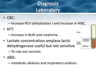 Diagnosis
Laboratory
• CBC:
– Increase PCV (dehydration ) and increase in WBC.
• KFT:
– Increase in BUN and creatinine .
• Lactate concentration-amylase-lactic
dehydrogenase useful but not sensitive
– To rule out necrosis
• ABG:
– metabolic alkalosis and respiratory acidosis.
 