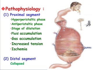 Pathophysiology :
(1) Proximal segment
•Hyperperistaltic phase
•Antiperistaltic phase
•Stage of dilatation
•Fluid accumulation
•Gas accumulation
•Increased tension
•Ischemia
(2) Distal segment
Collapsed
 