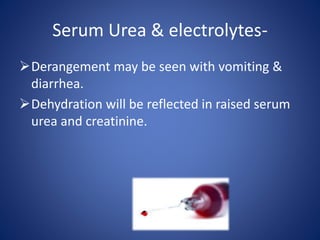 Serum Urea & electrolytes-
Derangement may be seen with vomiting &
diarrhea.
Dehydration will be reflected in raised serum
urea and creatinine.
 