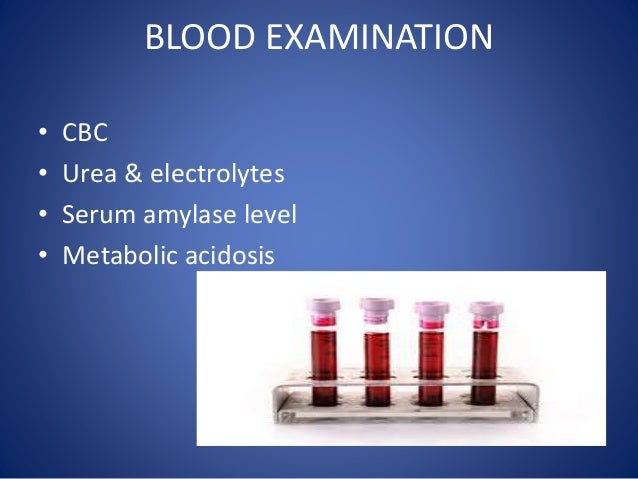 w.b.c test blood obstruction Intestinal
