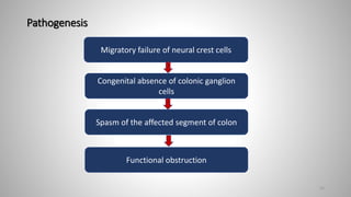 Pathogenesis
65
Migratory failure of neural crest cells
Functional obstruction
Spasm of the affected segment of colon
Congenital absence of colonic ganglion
cells
 