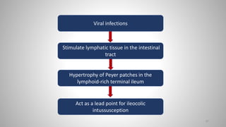 87
Viral infections
Stimulate lymphatic tissue in the intestinal
tract
Hypertrophy of Peyer patches in the
lymphoid-rich terminal ileum
Act as a lead point for ileocolic
intussusception
 