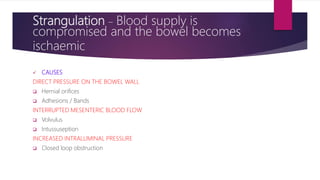 Strangulation – Blood supply is
compromised and the bowel becomes
ischaemic
 CAUSES
DIRECT PRESSURE ON THE BOWEL WALL
 Hernial orifices
 Adhesions / Bands
INTERRUPTED MESENTERIC BLOOD FLOW
 Volvulus
 Intussuseption
INCREASED INTRALUMINAL PRESSURE
 Closed loop obstruction
 