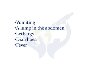 •Vomiting
•A lump in the abdomen
•Lethargy
•Diarrhoea
•Fever
 