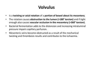 Volvulus
• Is a twisting or axial rotation of a portion of bowel about its mesentery.
• The rotation causes obstruction to the lumen (>180° torsion) and if tight
enough also causes vascular occlusion in the mesentery (>360° torsion).
• Bacterial fermentation adds to the distension and increasing intraluminal
pressure impairs capillary perfusion.
• Mesenteric veins become obstructed as a result of the mechanical
twisting and thrombosis results and contributes to the ischaemia.
 