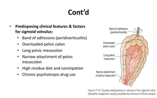 Cont’d
• Predisposing clinical features & factors
for sigmoid volvulus:
• Band of adhesions (peridiverticulitis)
• Overloaded pelvic colon
• Long pelvic mesocolon
• Narrow attachment of pelvic
mesocolon
• High-residue diet and constipation
• Chronic psychotropic drug use
 