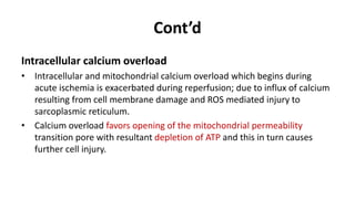 Cont’d
Intracellular calcium overload
• Intracellular and mitochondrial calcium overload which begins during
acute ischemia is exacerbated during reperfusion; due to influx of calcium
resulting from cell membrane damage and ROS mediated injury to
sarcoplasmic reticulum.
• Calcium overload favors opening of the mitochondrial permeability
transition pore with resultant depletion of ATP and this in turn causes
further cell injury.
 