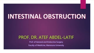PROF. DR. ATEF ABDEL-LATIF
 