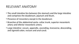 RELEVANT ANATOMY
• The small intestine lies between the stomach and the large intestine
and comprises the duodenum, jejunum and ileum.
• Presence of mesentery except in the duodenum
• Branches of the abdominal aorta- celiac trunk, superior mesenteric
artery and inferior mesenteric artery.
• Large intestine- cecum, appendix, ascending, transverse, descending,
and sigmoid colon, rectum and anal canal.
 
