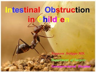 Intestinal Obstruction
in Children
Nopporn Sritippo MD.
Department of Surgery
Sawanpracharak Hospital
 