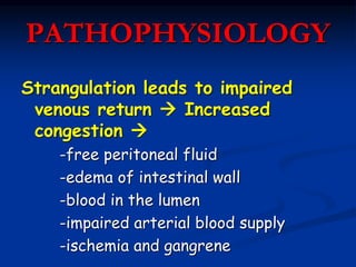 PATHOPHYSIOLOGY
Strangulation leads to impaired
venous return  Increased
congestion 
-free peritoneal fluid
-edema of intestinal wall
-blood in the lumen
-impaired arterial blood supply
-ischemia and gangrene
 
