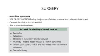 SURGERY
• Immediate laparotomy
• SITE OF OBSTRUCTION finding the junction of dilated proximal and collapsed distal bowel
• Cause of the obstruction is identified.
• The obstruction is relieved.
 