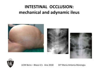 INTESTINAL OCCLUSION:
mechanical and adynamic ileus
UCM Beira – Bloco 4.5- Ano 2018 Drª Maria Antonia Marongiu
 