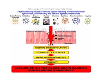 http://www.undergroundwellness.com/images/mucosal_barrier_degradation.png 
 
