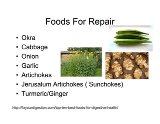 Foods For Repair 
• Okra 
• Cabbage 
• Onion 
• Garlic 
• Artichokes 
• Jerusalum Artichokes ( Sunchokes) 
• Turmeric/Ginger 
http://fixyourdigestion.com/top-ten-best-foods-for-digestive-health/ 
 