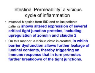 Intestinal Permeability: a vicious 
cycle of inflammation 
• mucosal biopsies from IBD and celiac patients 
patients shows altered expression of several 
critical tight junction proteins, including 
upregulation of zonulin and claudin 2 
• On this manner, a vicious circle is created, in which 
barrier dysfunction allows further leakage of 
luminal contents, thereby triggering an 
immune response that in turn promotes 
further breakdown of the tight junctions. 
 