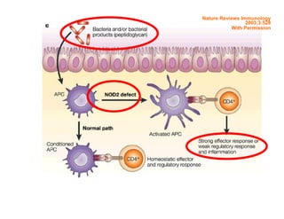 Nature Reviews Immunology 
2003;3:528 
With Permission 
 