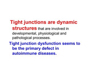 Tight junctions are dynamic 
structures that are involved in 
developmental, physiological and 
pathological processes. 
Tight junction dysfunction seems to 
be the primary defect in 
autoimmune diseases. 
 