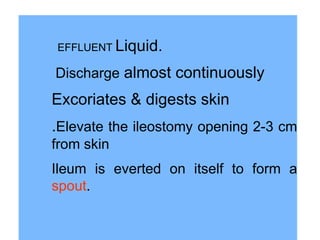 EFFLUENT Liquid.
Discharge almost continuously
Excoriates & digests skin
.Elevate the ileostomy opening 2-3 cm
from skin
Ileum is everted on itself to form a
spout.
 