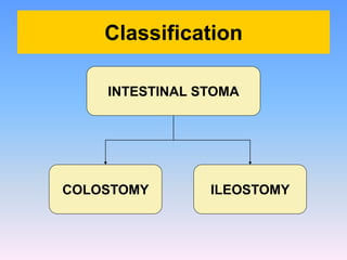 Intestinal stomas | PDF