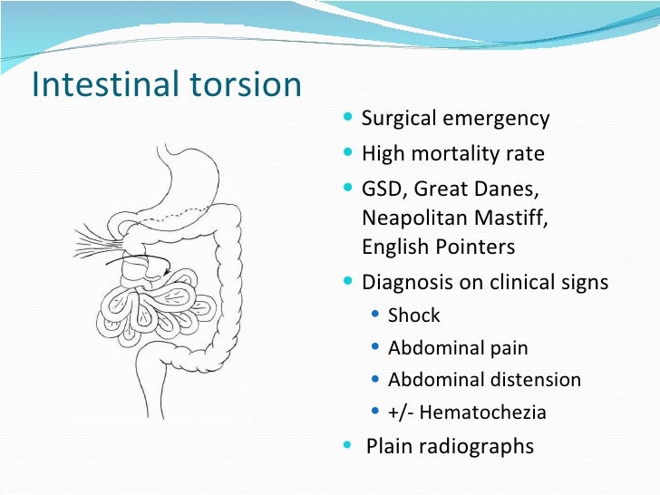 Mesenteric torsion pathology and management