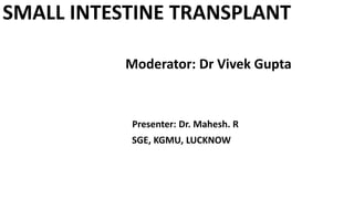 SMALL INTESTINE TRANSPLANT
Moderator: Dr Vivek Gupta
Presenter: Dr. Mahesh. R
SGE, KGMU, LUCKNOW
 